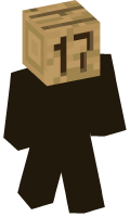 Skinfile