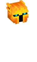 Skinfile