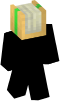 Skinfile