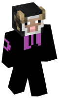Skinfile