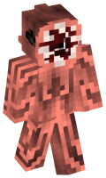 Skinfile