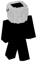 Skinfile