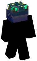 Skinfile