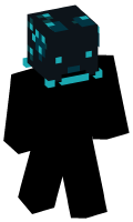 Skinfile