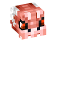 Skinfile