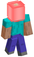 Skinfile