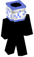 Skinfile