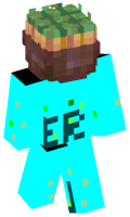 Skinfile