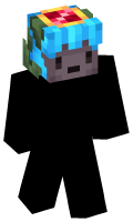 Skinfile