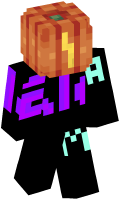 Skinfile
