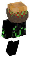 Skinfile