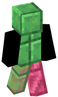 Skinfile