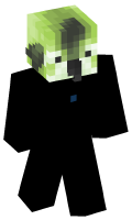 Skinfile