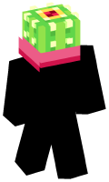 Skinfile