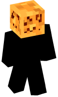 Skinfile