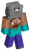 Skinfile