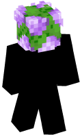 Skinfile