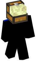 Skinfile