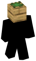 Skinfile