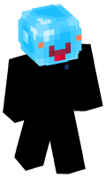 Skinfile