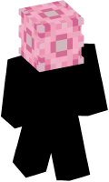 Skinfile