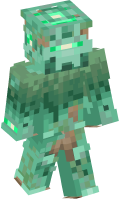 Skinfile