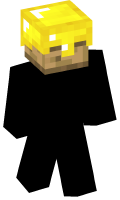 Skinfile
