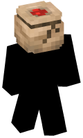 Skinfile