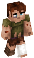 Skinfile