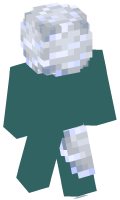 Skinfile