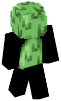 Skinfile