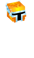 Skinfile