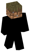 Skinfile