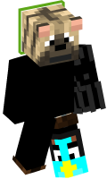 Skinfile