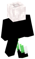 Skinfile