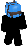 Skinfile