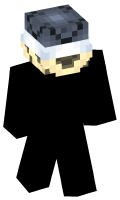 Skinfile
