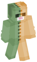 Skinfile