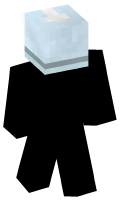 Skinfile