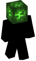 Skinfile