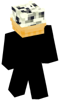 Skinfile