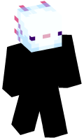Skinfile