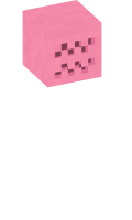 Skinfile