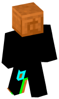 Skinfile