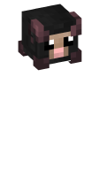 Skinfile