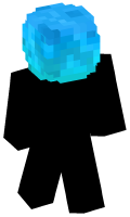 Skinfile