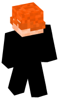 Skinfile