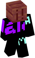 Skinfile