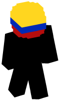 Skinfile