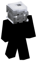 Skinfile